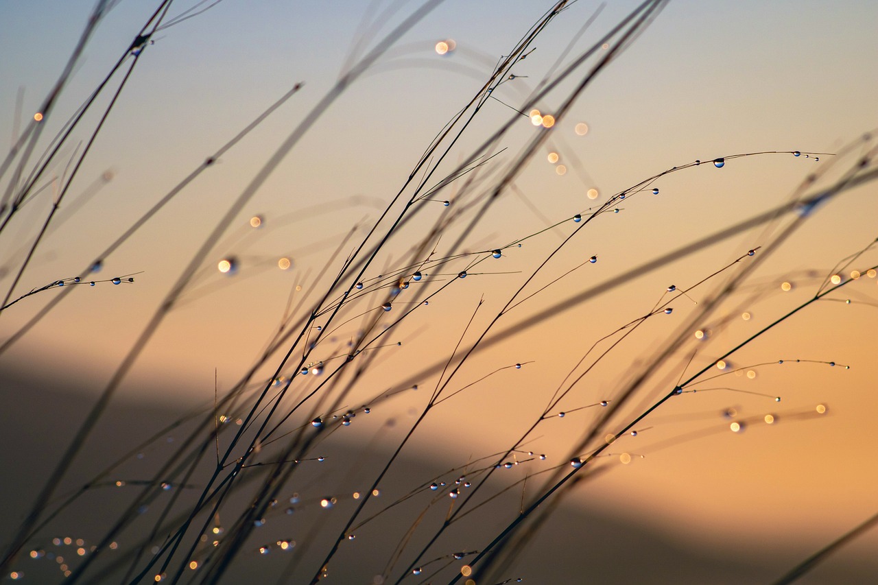 How to Build a Morning Routine That Sets You Up for Success
